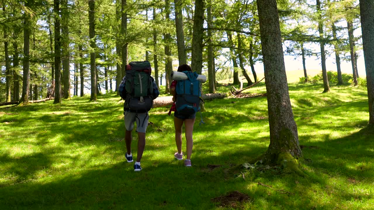 在森林中徒步旅行