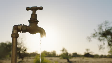 Agua-Del-Grifo-Que-Fluye-En-Una-Granja-Rural-Al-Atardecer-Agua-Dulce-Saliendo-Del-Grifo-Al-Aire-Libre-Desperdiciando-Escasez-De-Agua-En-Las-Tierras-De-Cultivo-Sequía