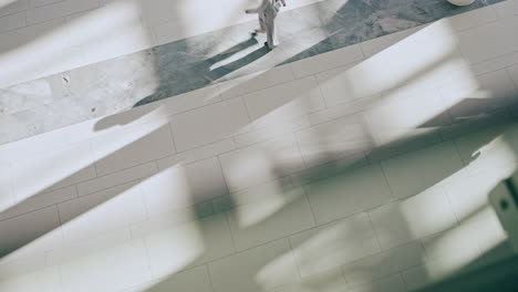 business people, crowd walking