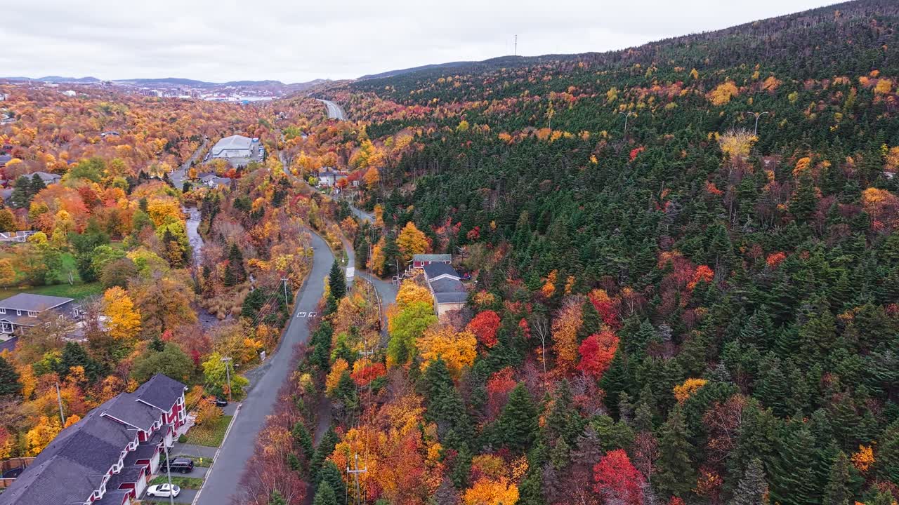 Sweeping view of Bowring Park’s highway and houses at the foot of a wooded hill, emphasising the contrast between infrastructure and colourful forest