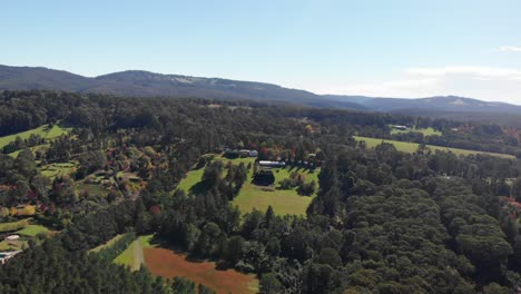 Drone-flight-over-an-area-with-abundant-vegetation,-with-vibrant-shades-of-green-and-few-man-made-structures