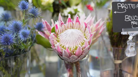 pink protea flower on the counter of a flower shop