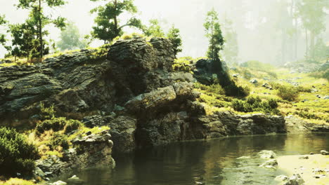 lush green landscape with serene water reflecting natures beauty