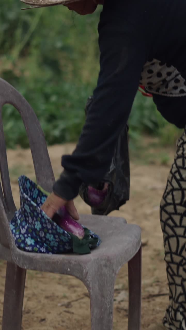 Asian woman in a field picking vegetables
