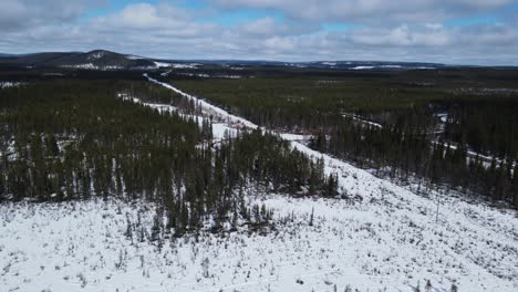 vista aérea panorámica en órbita del bosque de coníferas blancas nevadas en suecia durante el día