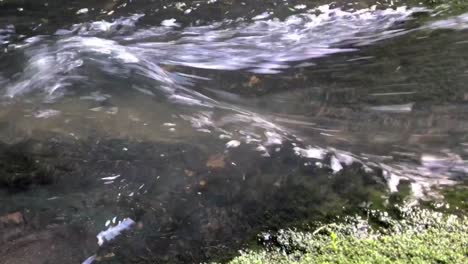 water flows rapidly causing a ripple over a few undercurrent rocks