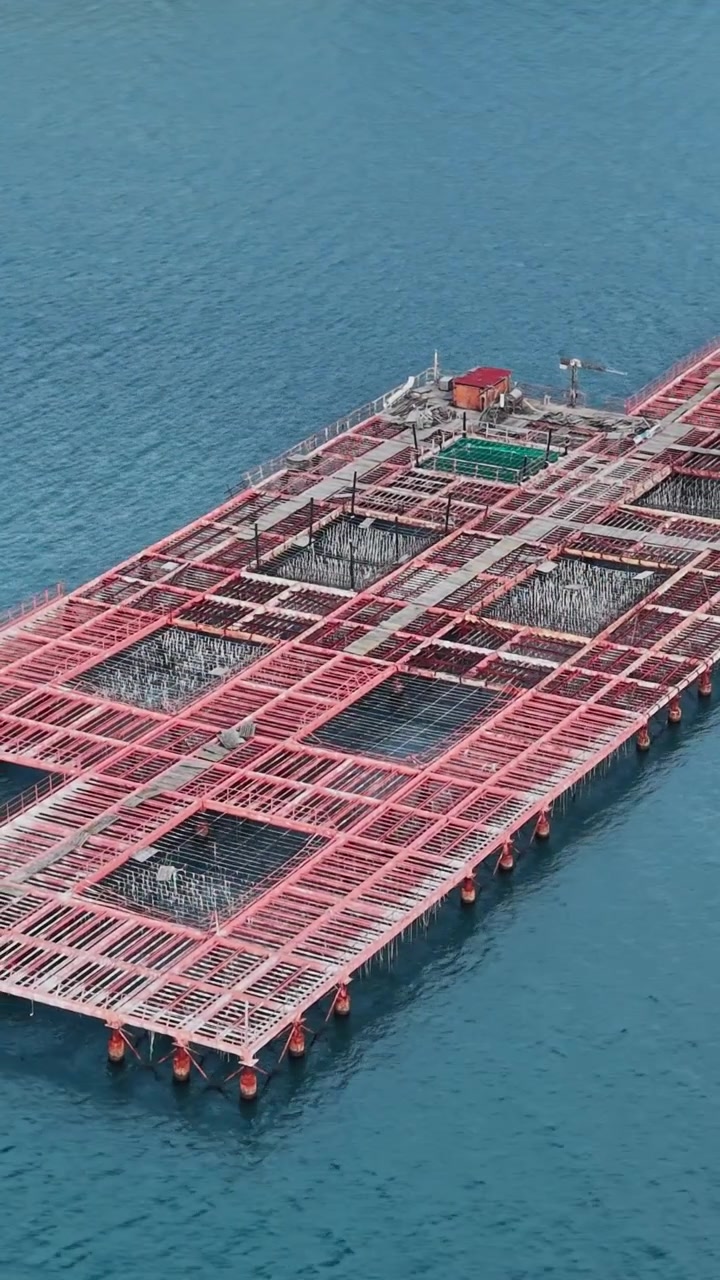 Mussel farming platform in blue water with shellfish industry activity