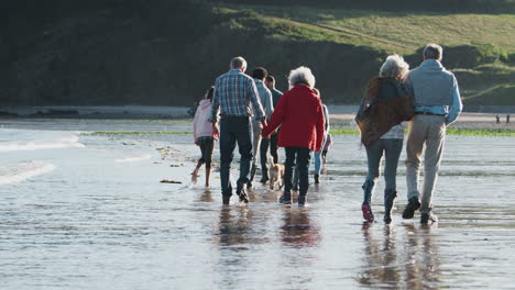 rear view of active multi-generation family with dog walking along shoreline of autumn beach