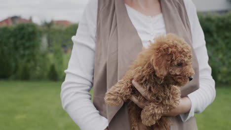 una mujer con un suéter cálido sostiene muchos cachorros pequeños en sus brazos