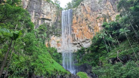 waterfall cascading in lush green forest