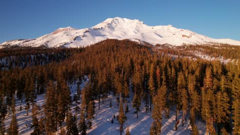 low drone clip over boreal forest in the winter