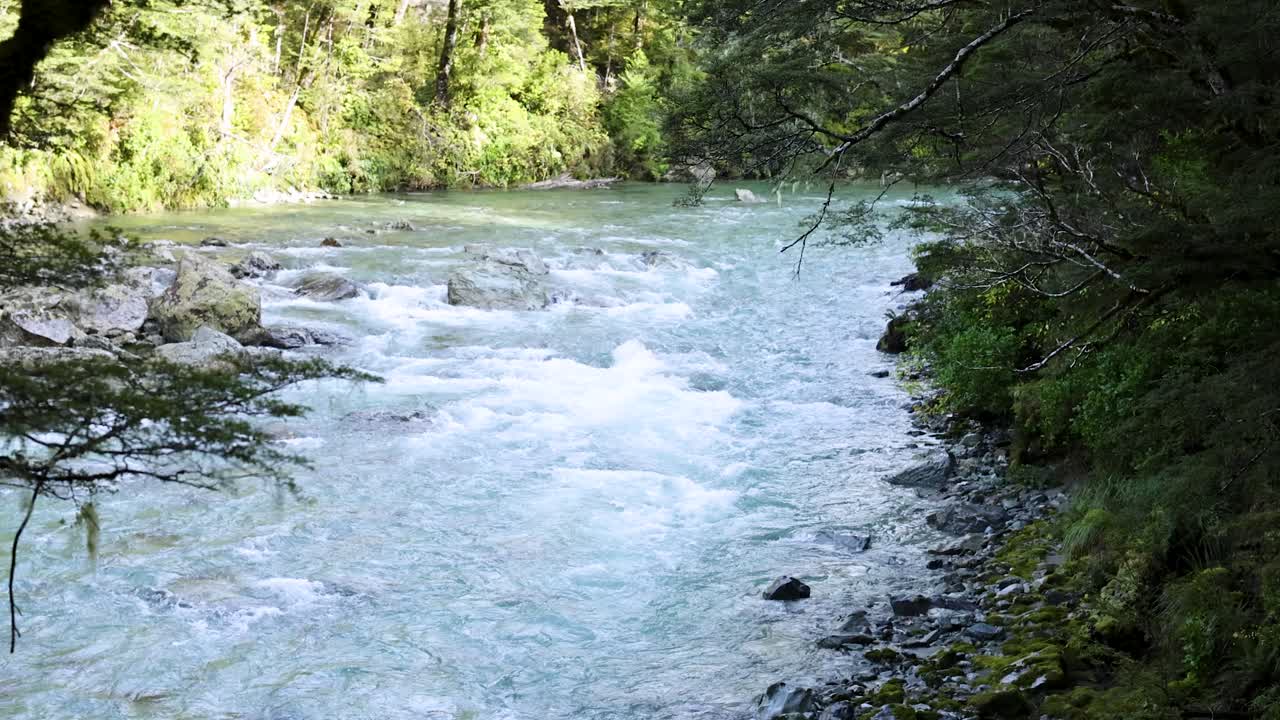 Un limpido ruscello di montagna scorre rapidamente attraverso una fitta foresta pluviale verde sotto la luce naturale del giorno. La telecamera si muove dolcemente, rivelando rive muschiose e un fogliame vibrante