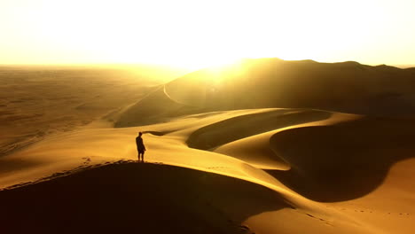 caminando por el vasto desierto de namibia