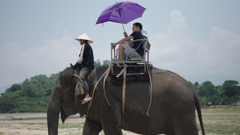 people riding on an elephant