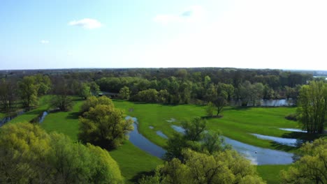 Fresh-Nature-Verdant-Landscape-In-March-Auen-Protected-Area-In-Austria