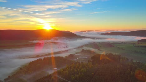 sunrise in a misty forest