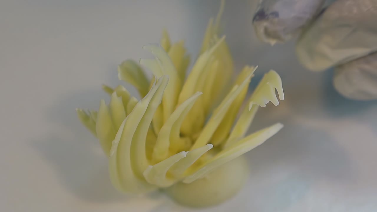 confectioner corrects white glaze cake decorative element