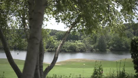 campo de golf y lago con árbol en primer plano día de verano del medio oeste