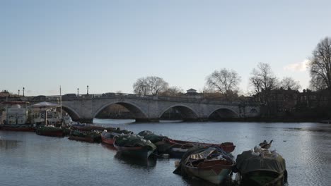 a calm riverside view of richmond road bridge with boats and trees on a clear day
