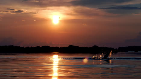 Silhouette-Mann-Schwimmt-Kriechen-Im-Ozean-Bei-Farbenprächtigem-Sonnenuntergang
