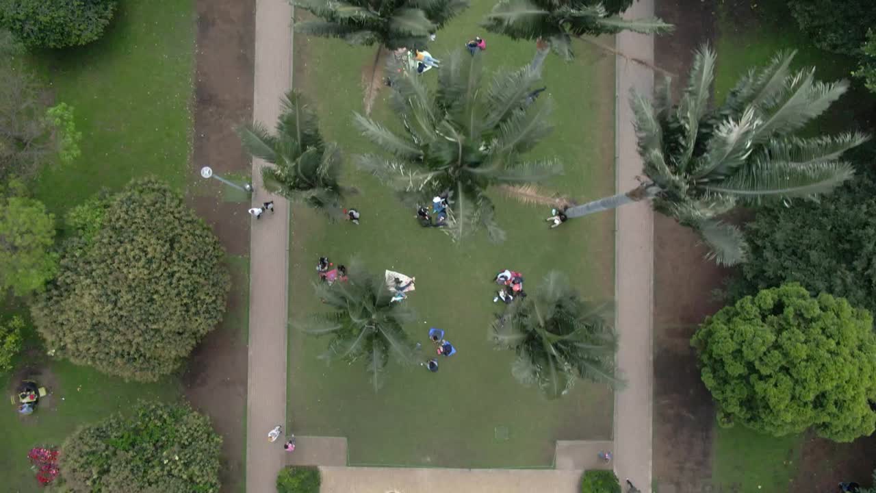 Dolly inn zenith camera Drone