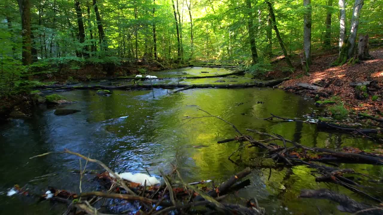 여름 동안 강 위를 비행