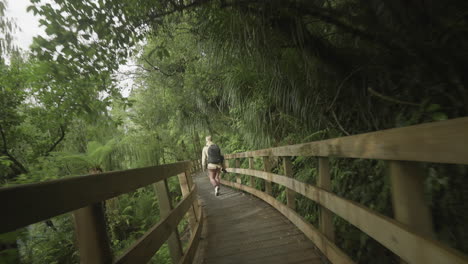 Woman-photographer-exploring-wooden-path-on-bank-of-Hokitika-Gorge