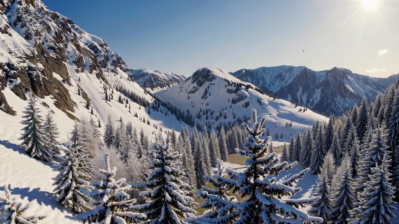 Luftaufnahme einer schneebedeckten Berglandschaft mit immergrünen Bäumen