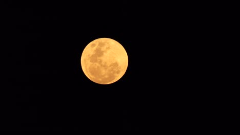 Luna-De-Cosecha-Luna-Llena-En-El-Cielo-Nocturno