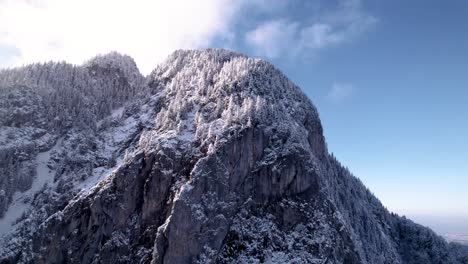 aerial view of a rocky snow covered mountain peak with trees on a sunny winter day in switzerland