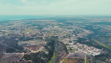 spectacular landscape view reveals the agricultural sector of portugal