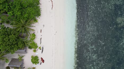 Aerial-top-down-rising-perspective-of-white-sandy-beach-shoreline-and-palm-trees