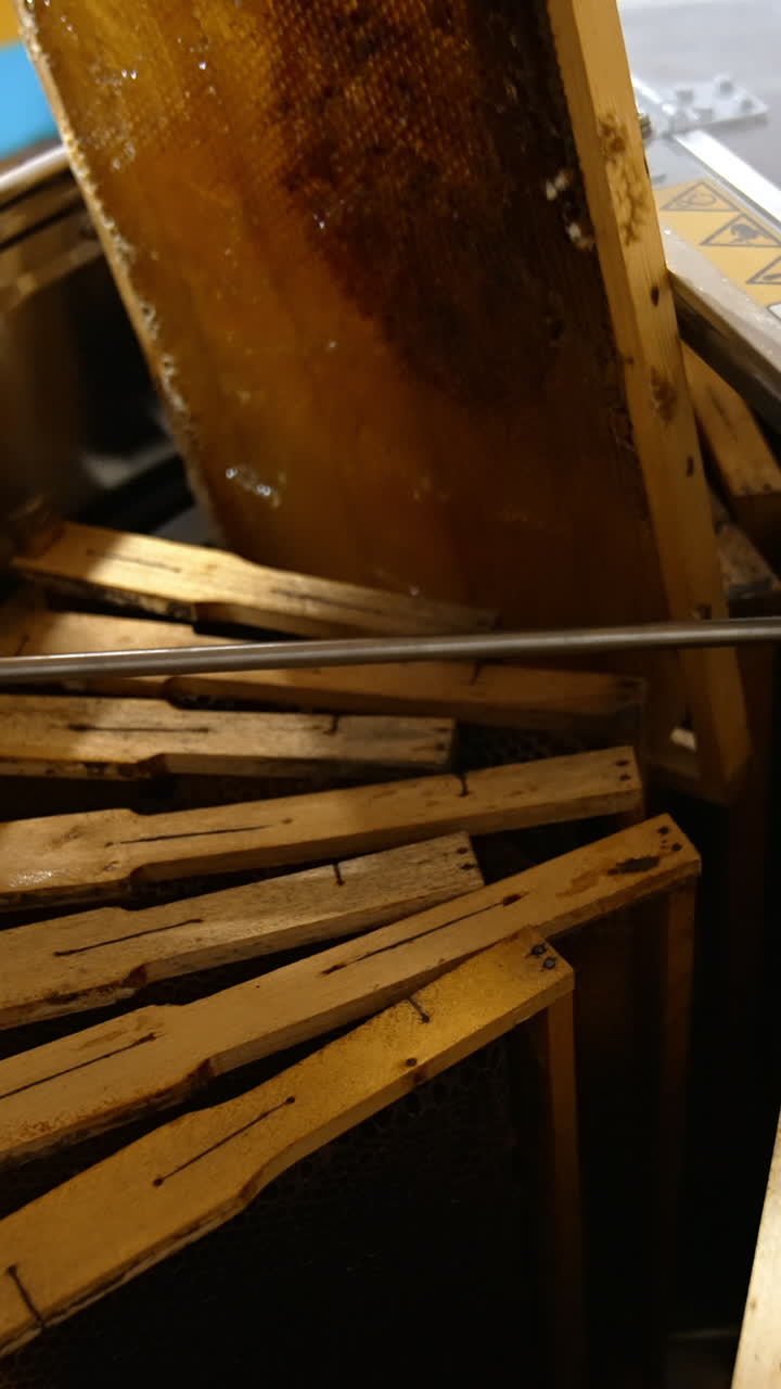 Metal tank with centrifuge inside for extracting honey from honeycombs. Man puts frames side by side into the bin. Close up. Vertical video