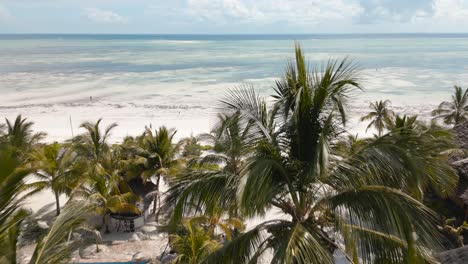 Toma-Aérea-De-Seguimiento-De-Drones-Que-Viaja-Por-Una-Perfecta-Playa-De-Arena-Bordeada-De-Palmeras,-Paraíso,-Zanzíbar,-Tanzania