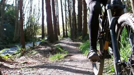 mountain biker riding bicycle in forest