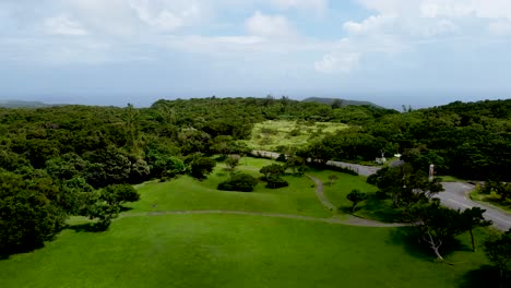 lush green park with dense trees under clear blue skies, aerial view