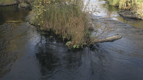 slow motion, pan shot, close to a river, nature in fall colors, on a cold autumn day, in finland