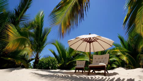 tropical beach scene with palm trees and lounge chairs