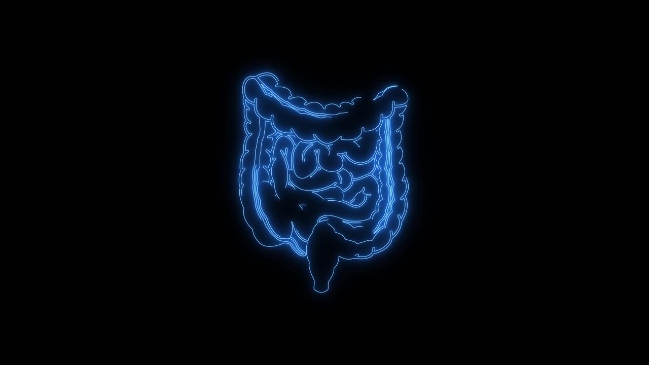 Animierter blauer Neon-Umriss des menschlichen Darms