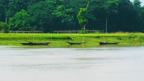 traditional boats on a river in bangladesh with lush greenery and deep forest in the background
