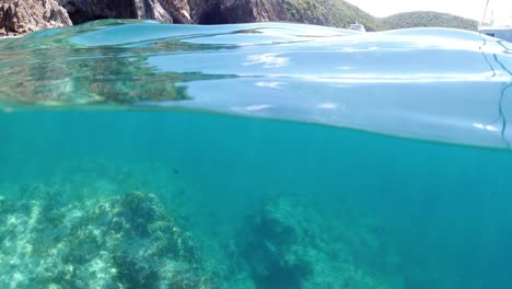 beautiful-shot-of-a-school-of-fish,-followed-by-a-snorkeler-and-view-of-yachts-in-the-British-Virgin-Islands