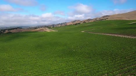 Hermosa-Antena-De-Viñedos-Montañosos-En-La-Región-Vitivinícola-De-La-Denominación-6-De-Californias-Santa-Rita