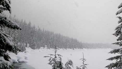 trucking shot between snowy fir trees showing snow capped frozen lake during strong snowfall and snowstorm at snoqualmie pass