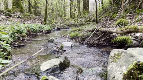 small stream with lots of moss and stones in an old wlad