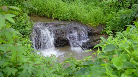 small waterfall flowing water through the jungle