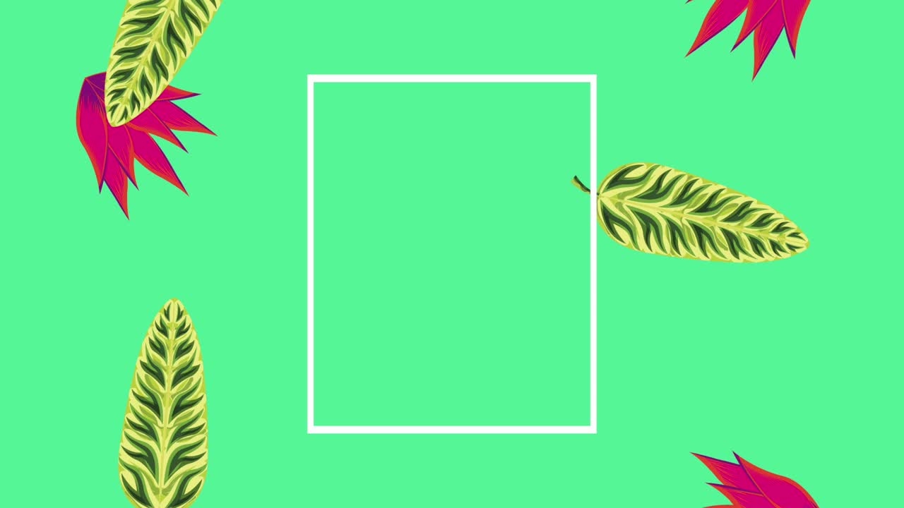 plantilla de verano tropical