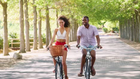 young mixed race couple riding bicycles on a tree lined road