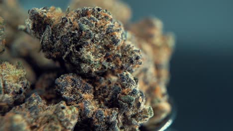 A-macro-cinematic-crispy-shot-of-a-cannabis-plant,-orange-hybrid-strains,-Indica-and-sativa-,-purple-marijuana-flower,-on-a-rotating-stand,-super-slow-motion,-120-fps,-Full-HD,-studio-lighting