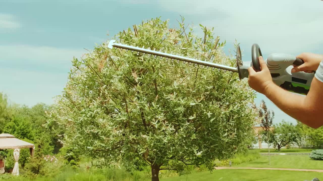 정원 가공자 - 을 위한 전기 트리머를 가진 녹색 공원에서 나무를 잘라내는 정원가공자 - 정원에서 나무를 형성하는 노동자