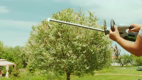 jardinero recortando árbol en el parque verde con cortador eléctrico para setos. trabajador dando forma a árbol en el jardín.